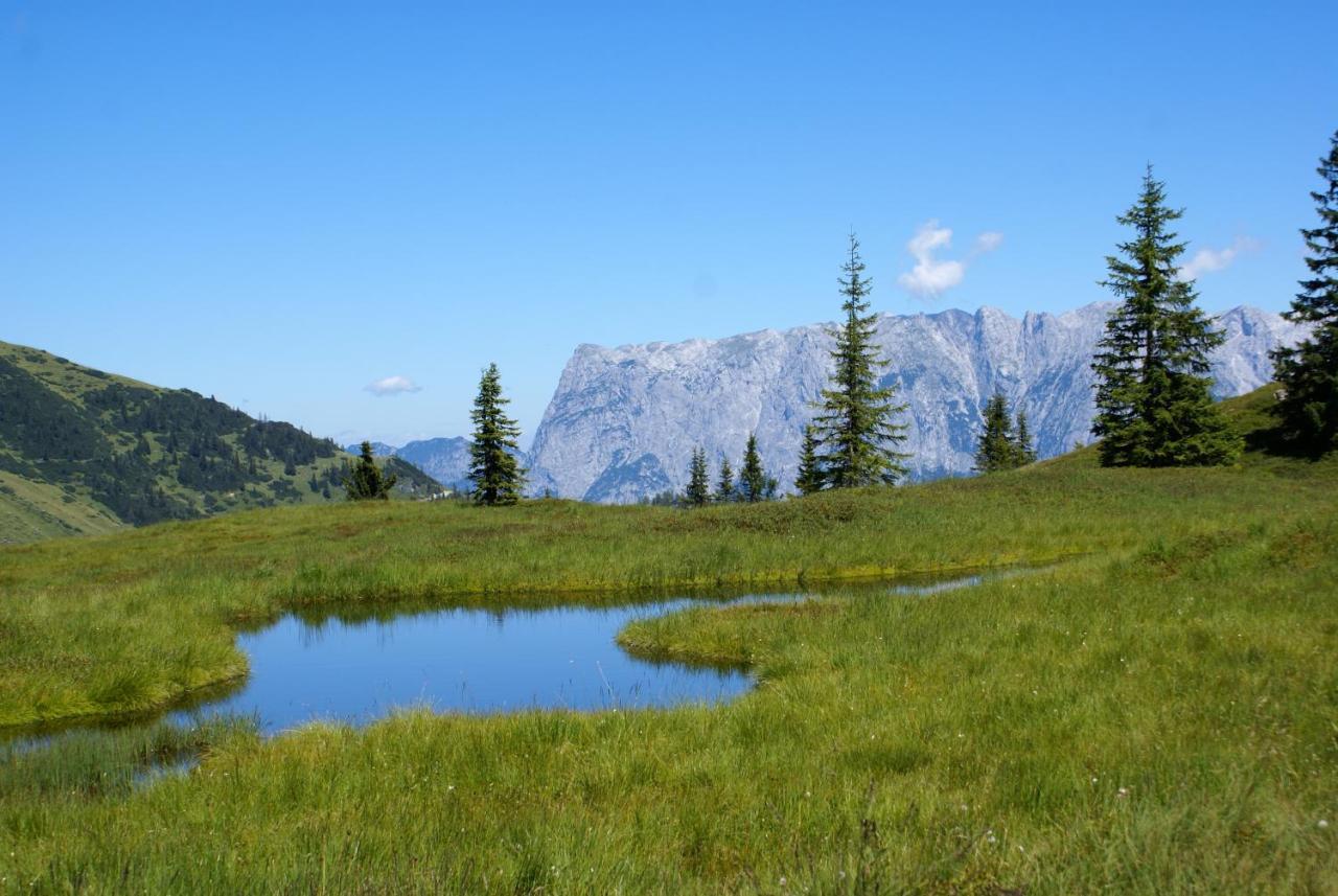 Das Sonneck Mühlbach am Hochkönig エクステリア 写真