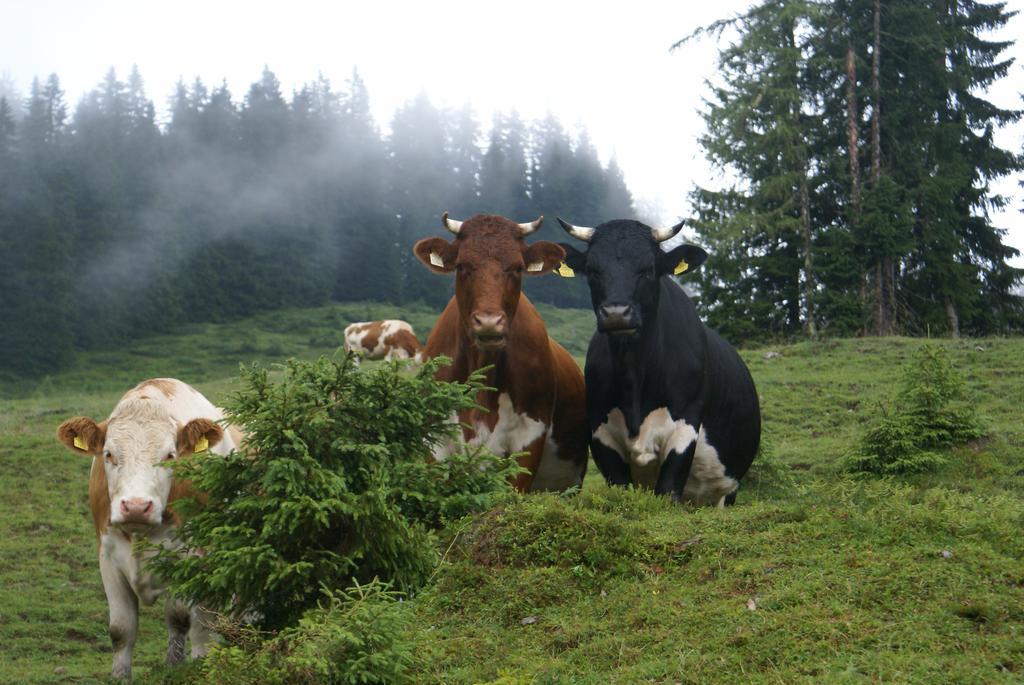 Das Sonneck Mühlbach am Hochkönig エクステリア 写真