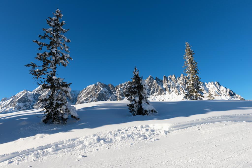 Das Sonneck Mühlbach am Hochkönig エクステリア 写真