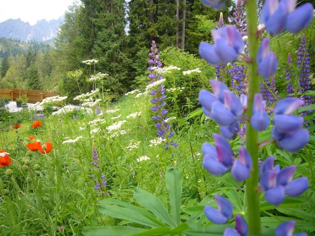 Das Sonneck Mühlbach am Hochkönig エクステリア 写真